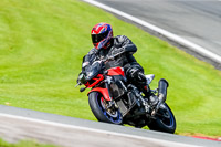 PJ-Motorsport-2019;anglesey;brands-hatch;cadwell-park;croft;donington-park;enduro-digital-images;event-digital-images;eventdigitalimages;mallory;no-limits;oulton-park;peter-wileman-photography;racing-digital-images;silverstone;snetterton;trackday-digital-images;trackday-photos;vmcc-banbury-run;welsh-2-day-enduro